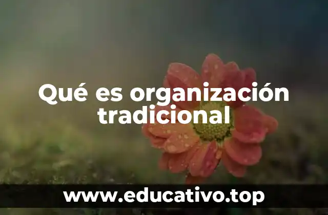 Qué es organización tradicional