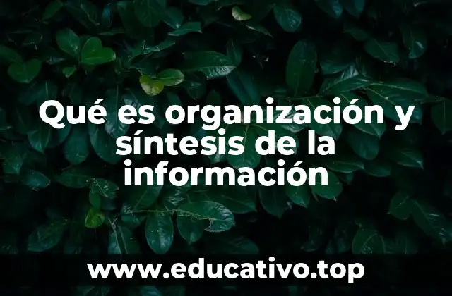 Qué es organización y síntesis de la información