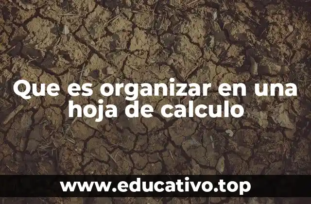 La importancia de la estructura en hojas de cálculo