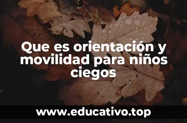 Que es orientación y movilidad para niños ciegos