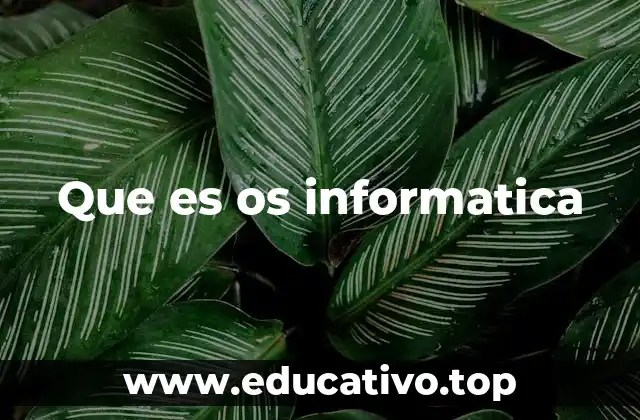Que es os informatica