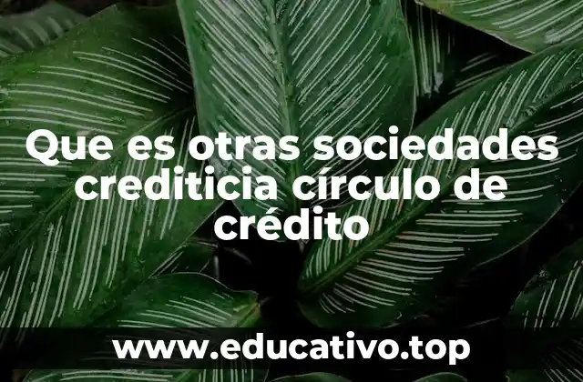 Que es otras sociedades crediticia círculo de crédito