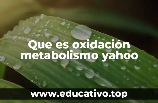 Que es oxidación metabolismo yahoo