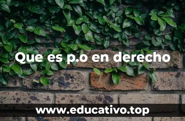 El uso de p.o en la jurisprudencia y la administración