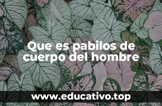 ¿Cómo se interpreta la expresión en contextos culturales y sociales?