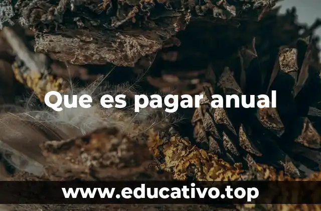 Cómo afecta el pago anual en la gestión financiera personal y empresarial