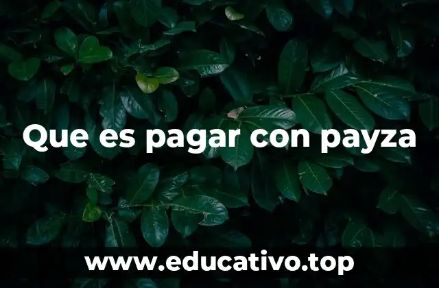 Que es pagar con payza