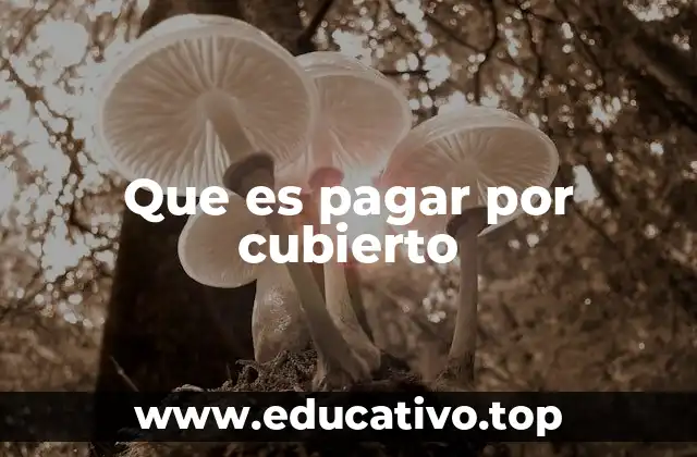 Que es pagar por cubierto