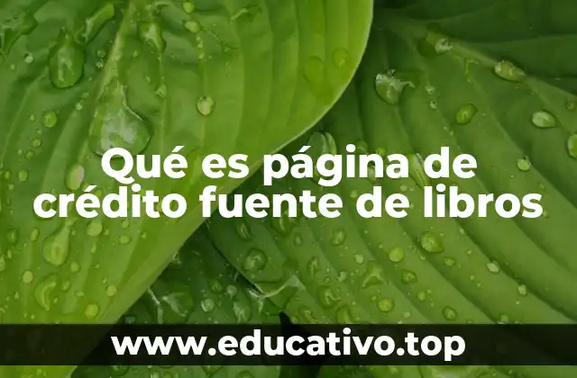 Cómo las plataformas de créditos facilitan el acceso a libros