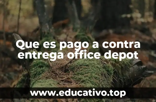 Cómo funciona el proceso de entrega en Office Depot