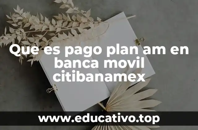 Que es pago plan am en banca movil citibanamex