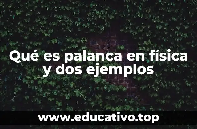 Qué es palanca en física y dos ejemplos