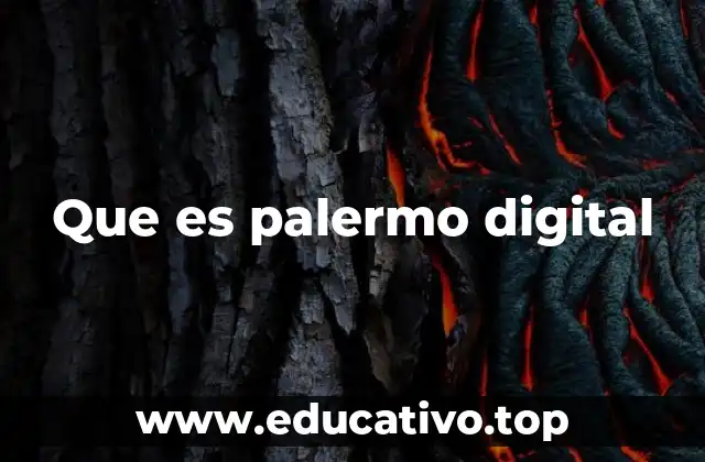 Que es palermo digital