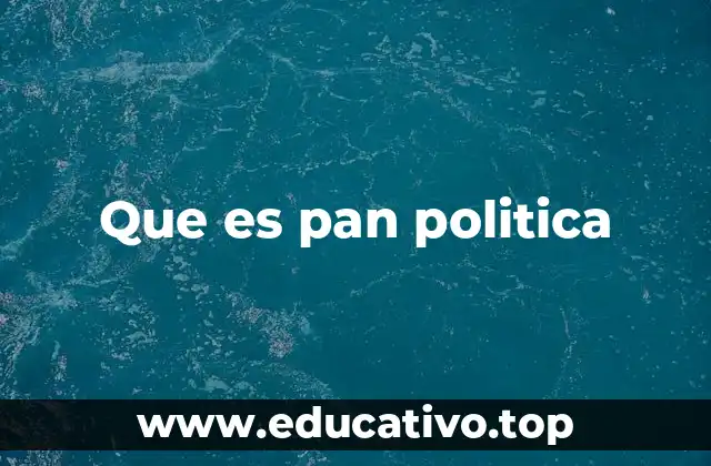 Que es pan politica