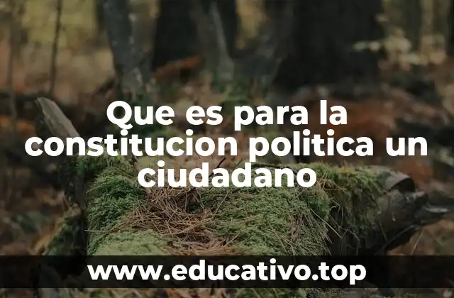 Que es para la constitucion politica un ciudadano