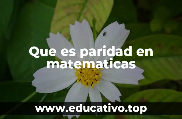Que es paridad en matematicas