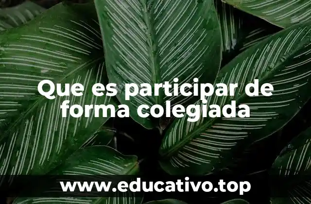 Que es participar de forma colegiada
