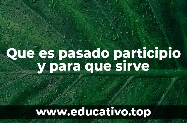 Que es pasado participio y para que sirve