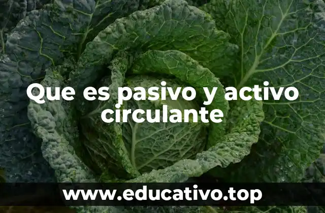 Importancia del equilibrio entre activos y pasivos circulantes