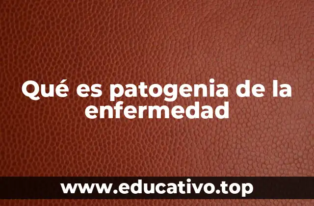 El proceso desde la infección hasta la enfermedad