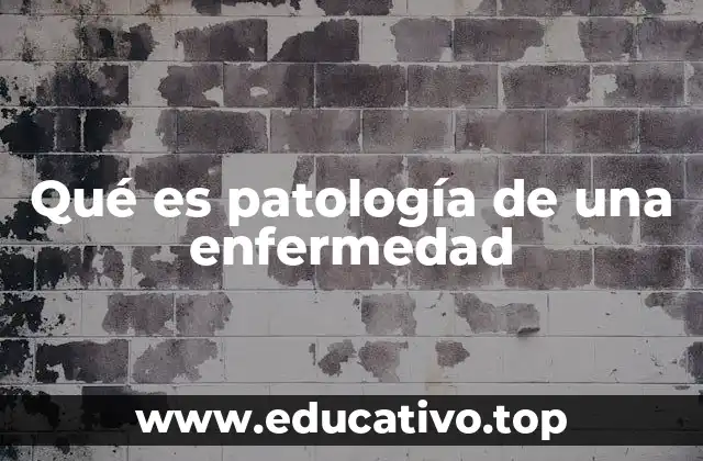 Qué es patología de una enfermedad