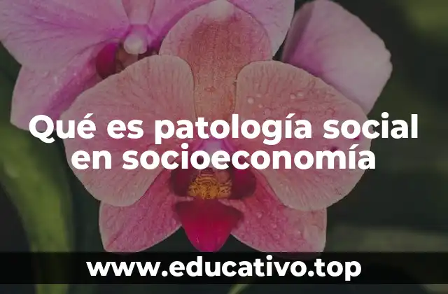 Qué es patología social en socioeconomía