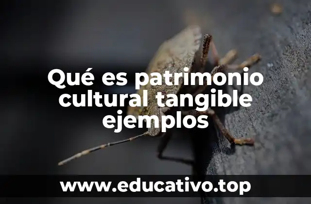 Qué es patrimonio cultural tangible ejemplos