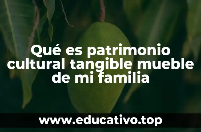 Qué es patrimonio cultural tangible mueble de mi familia