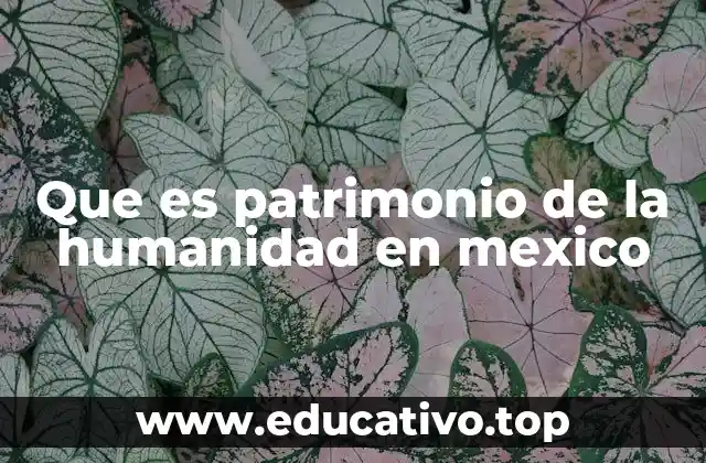 Que es patrimonio de la humanidad en mexico