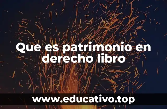 Que es patrimonio en derecho libro