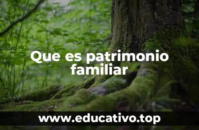 Que es patrimonio familiar