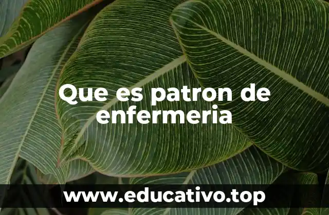 Que es patron de enfermeria