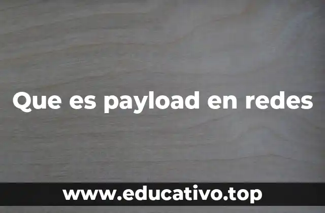 Que es payload en redes