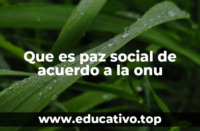 Que es paz social de acuerdo a la onu