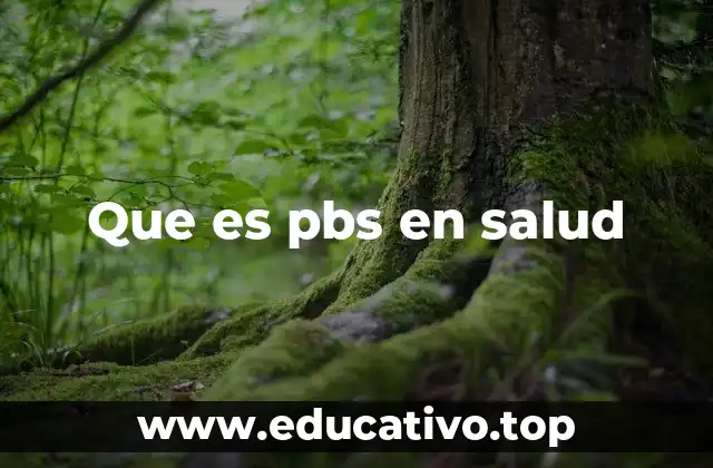 Que es pbs en salud