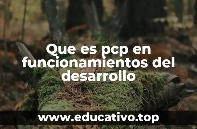 La importancia de los planes de capacitación en el desarrollo profesional