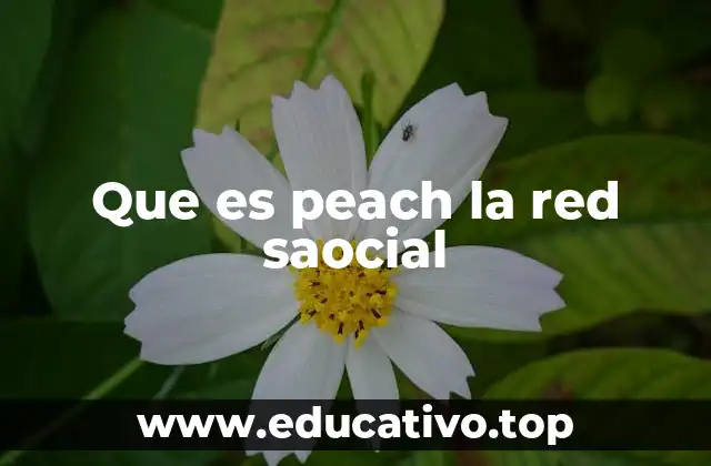 Que es peach la red saocial