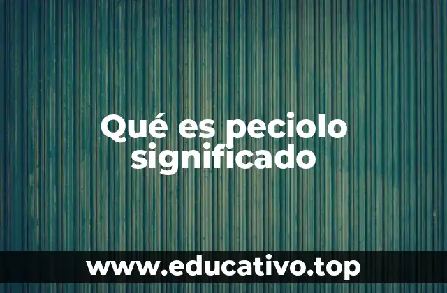 La importancia del peciolo en la fisiología vegetal