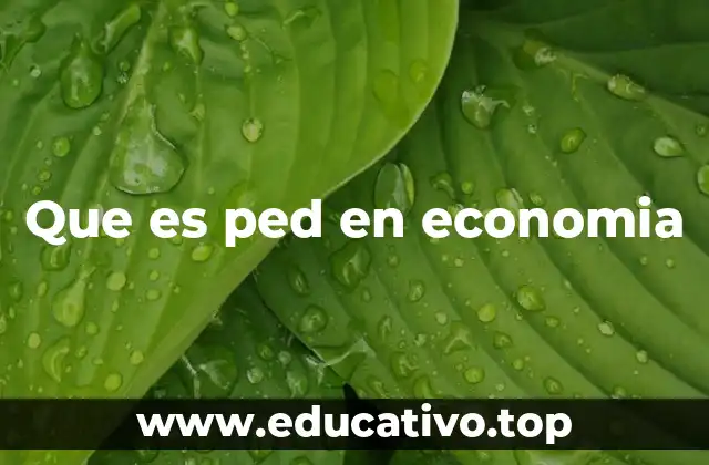 Que es ped en economia