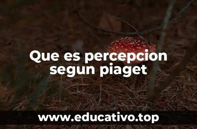 Que es percepcion segun piaget