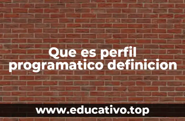 Que es perfil programatico definicion