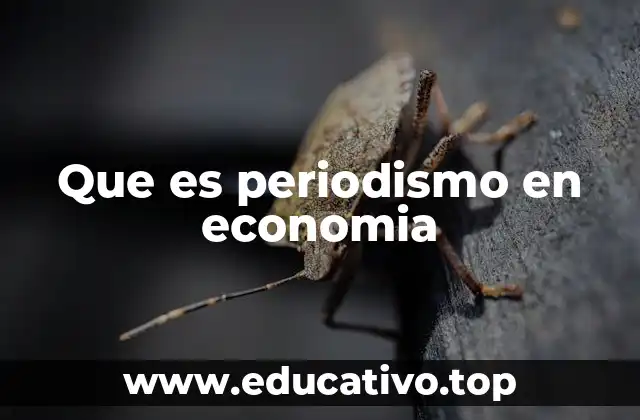 Que es periodismo en economia