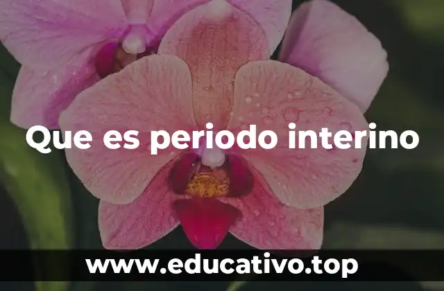 El periodo interino en la gestión institucional