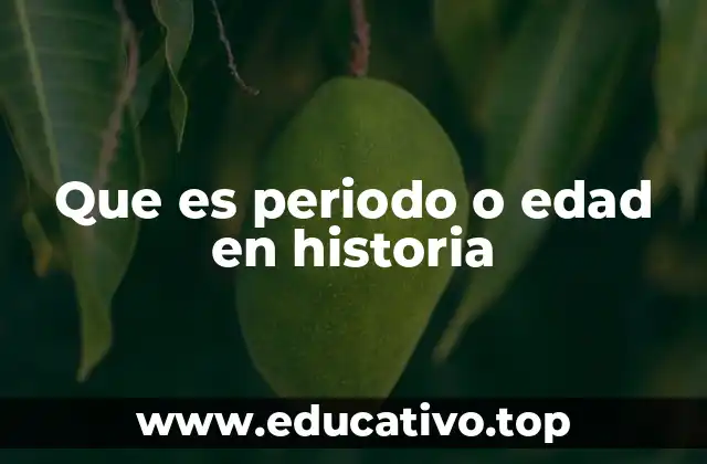 Que es periodo o edad en historia
