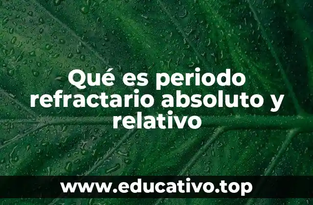 Qué es periodo refractario absoluto y relativo