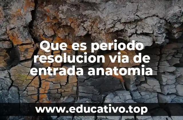 Que es periodo resolucion via de entrada anatomia