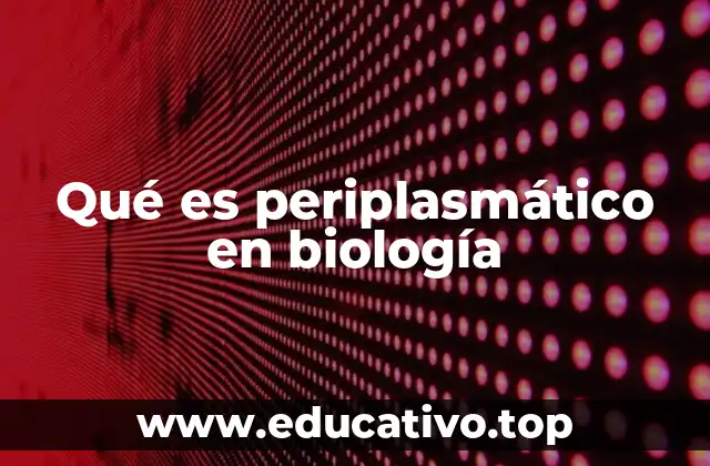 Qué es periplasmático en biología
