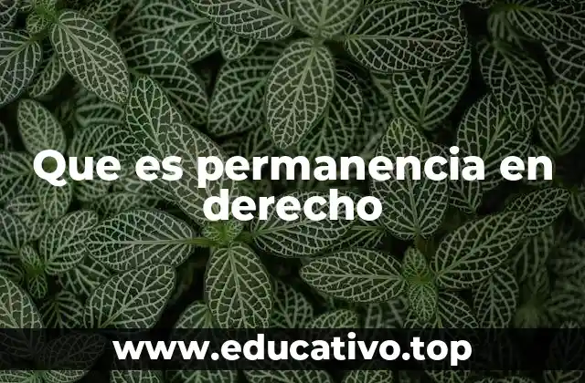 La importancia de la permanencia en el marco legal