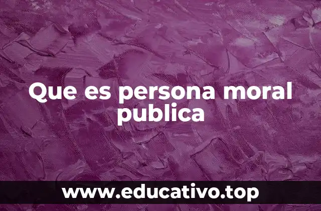 Que es persona moral publica