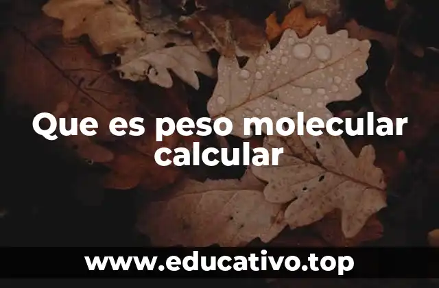 Que es peso molecular calcular